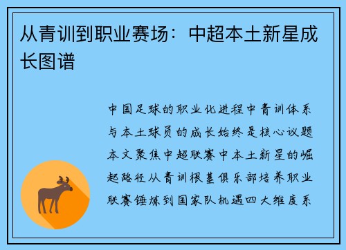从青训到职业赛场：中超本土新星成长图谱